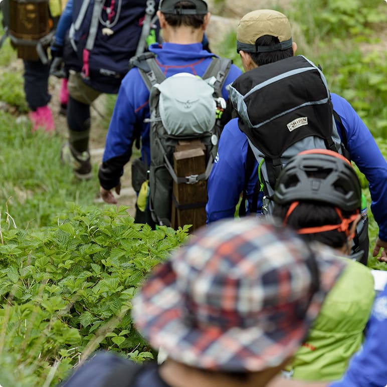 アクティビティ