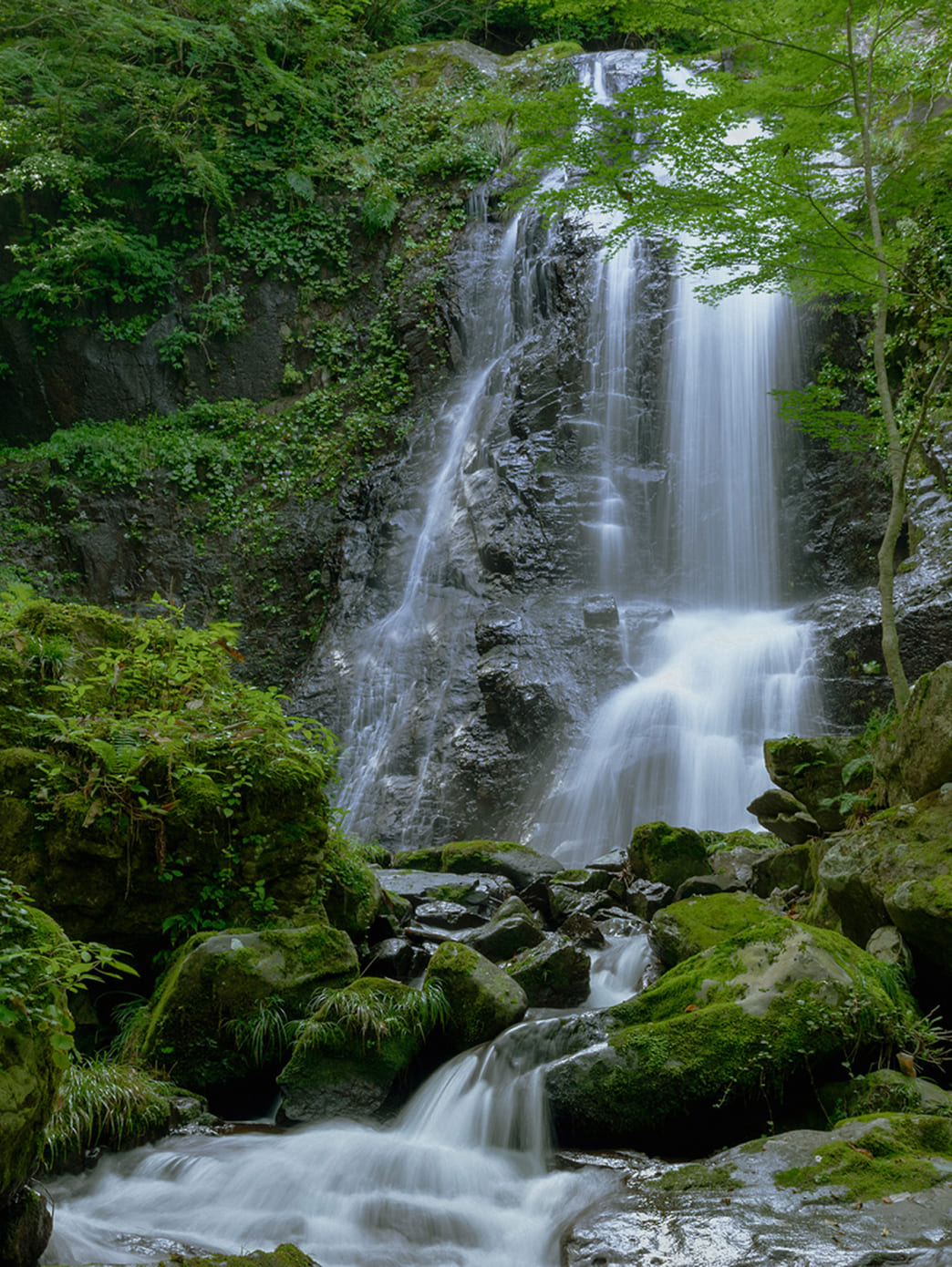 飛騨高山の風景イメージ