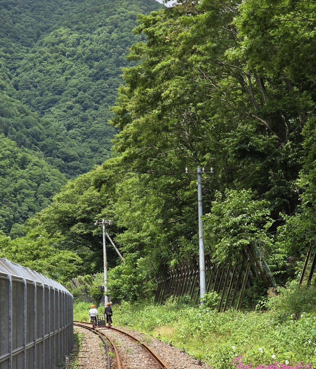 自然に包まれながら進む爽快アクティビティ
