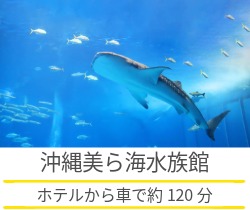 沖縄美ら海水族館