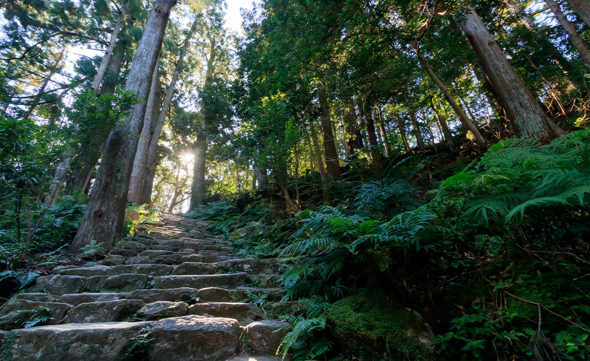熊野古道・中辺路を歩く旅路の拠点。コンフォートホテル紀伊田辺