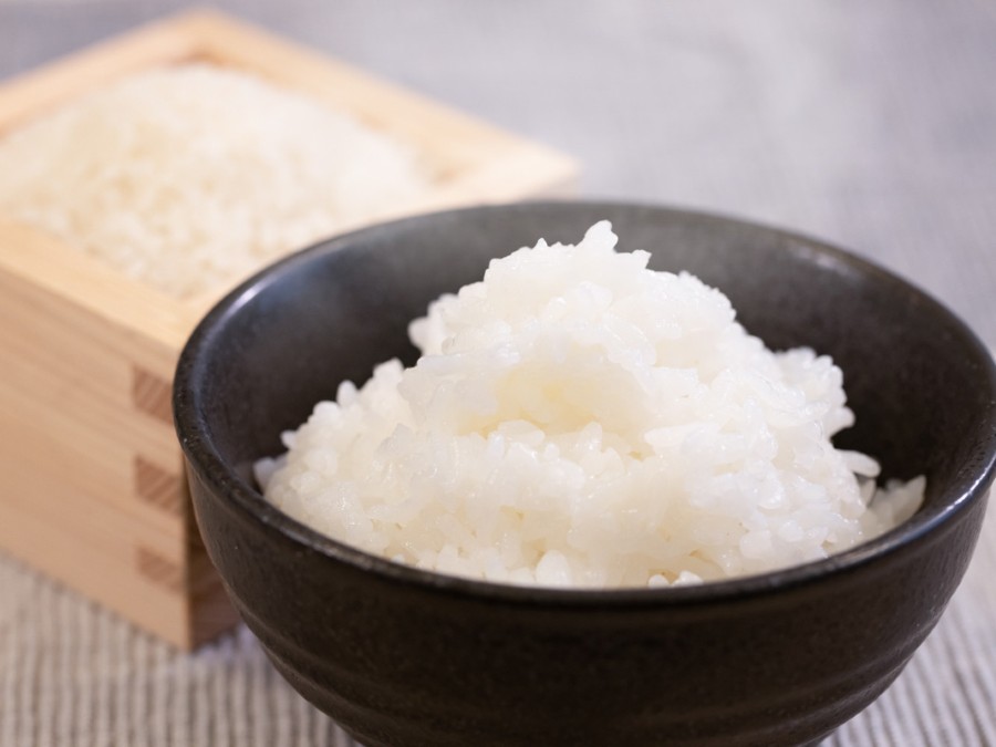 【新潟県産コシヒカリ】白米