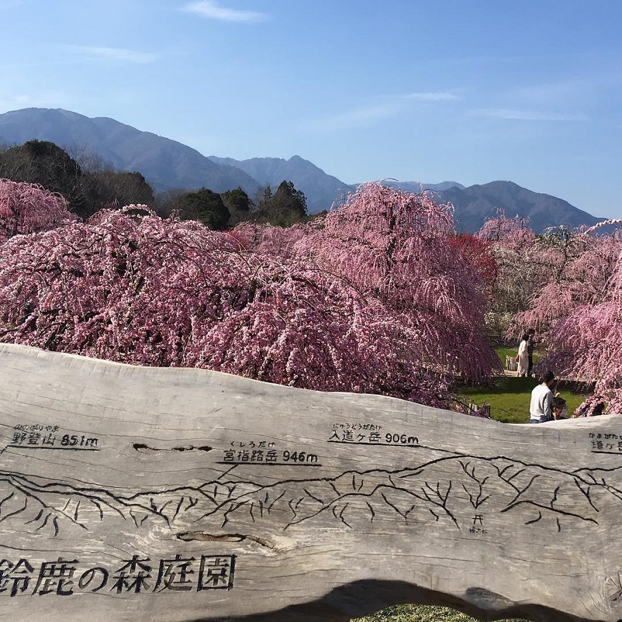 鈴鹿の森庭園