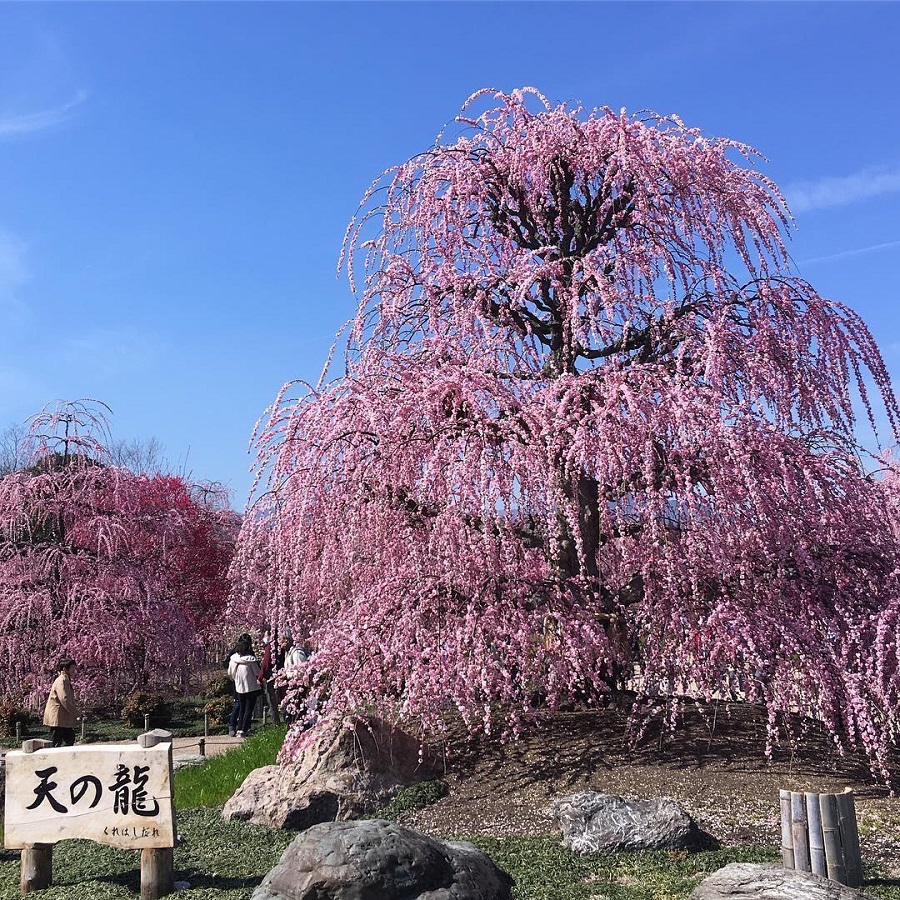 鈴鹿の森庭園