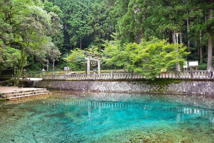 別府弁天池