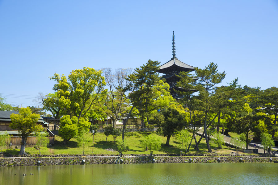 興福寺