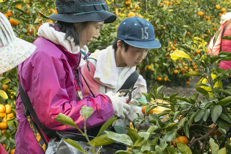 【支援先レポート】「南伊勢のみかん　田畑の楽校」に参加してきました！