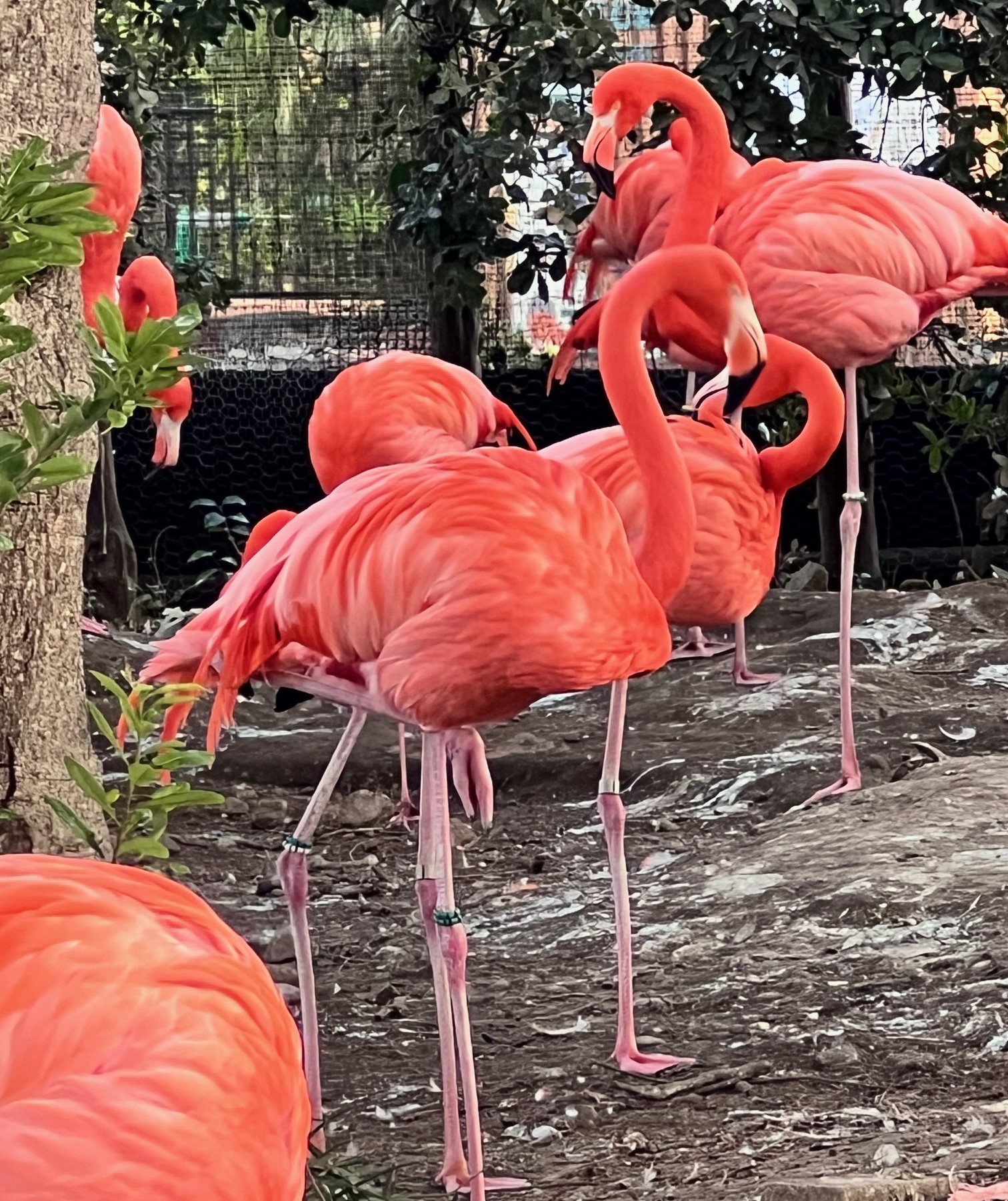 上野動物園