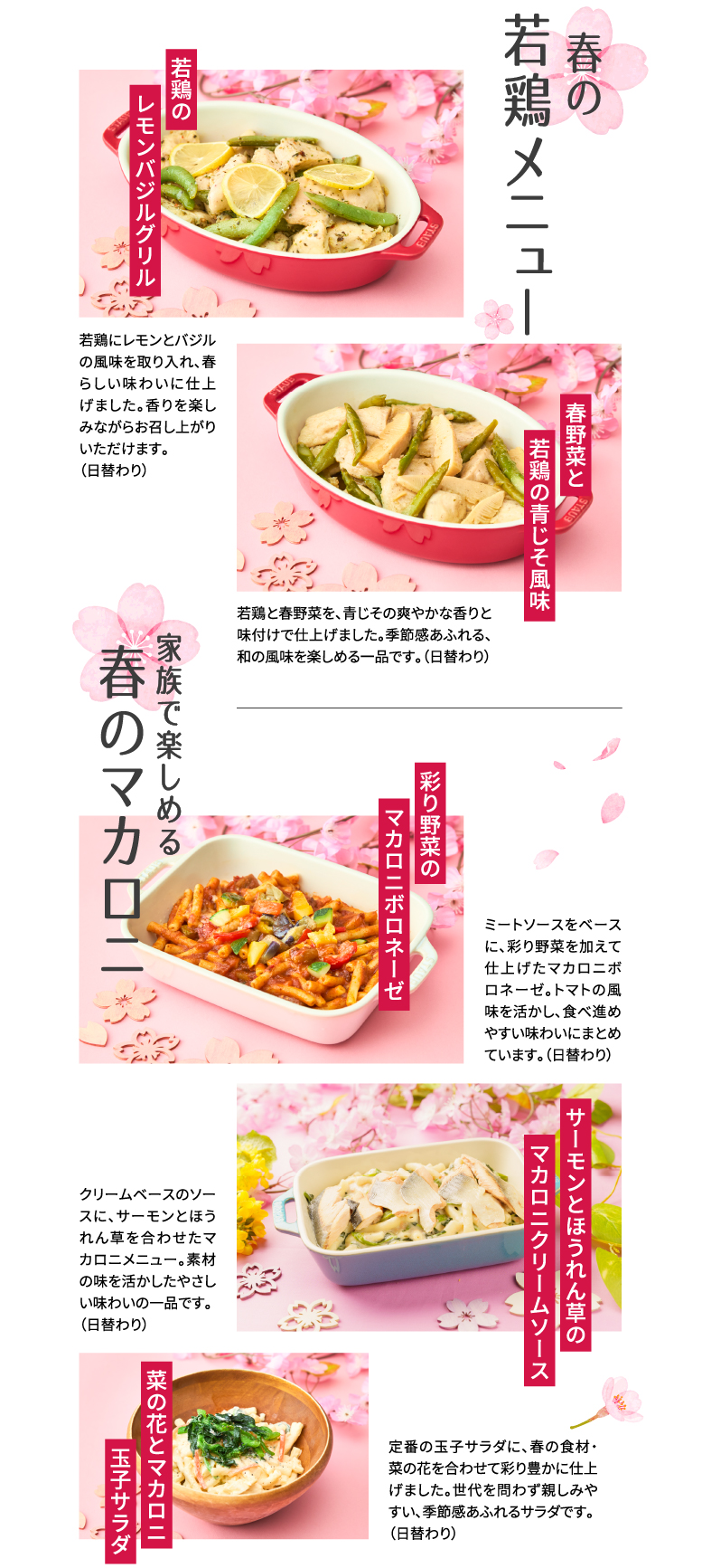 日替わりで若鶏を使ったメニューや家族みんなで楽しめるマカロニメニューの特集