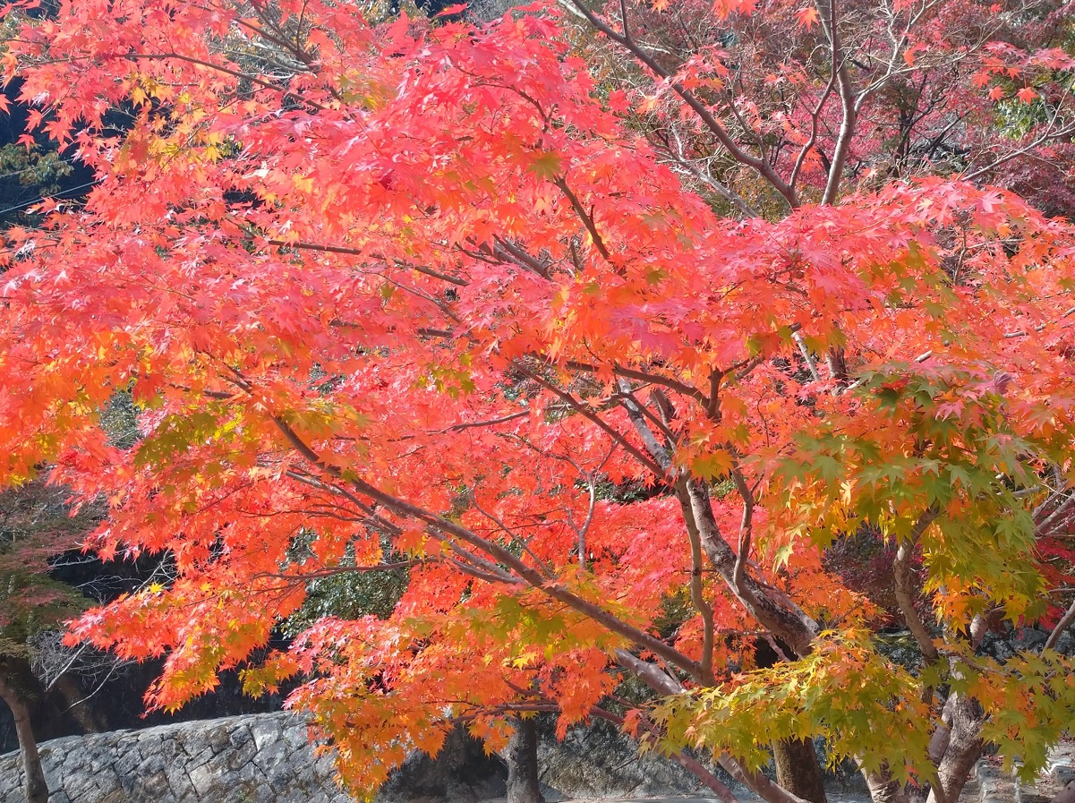 二河峡公園