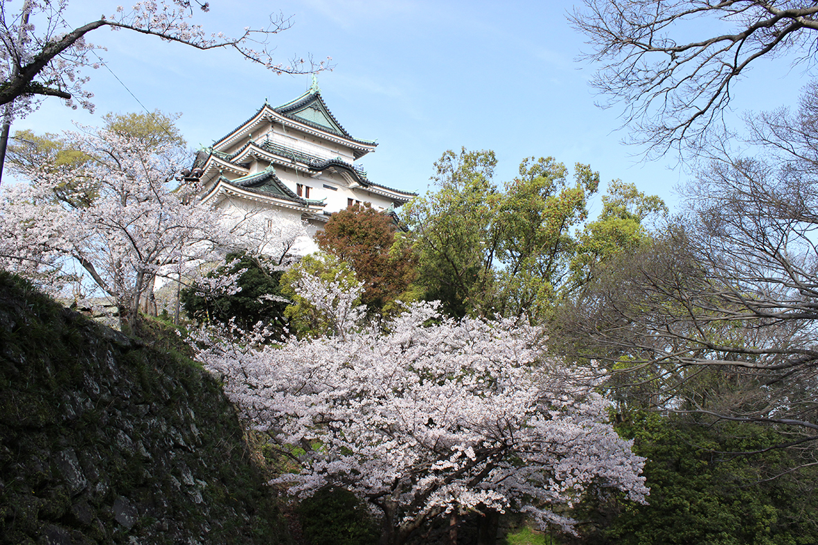 和歌山市のシンボル「和歌山城」