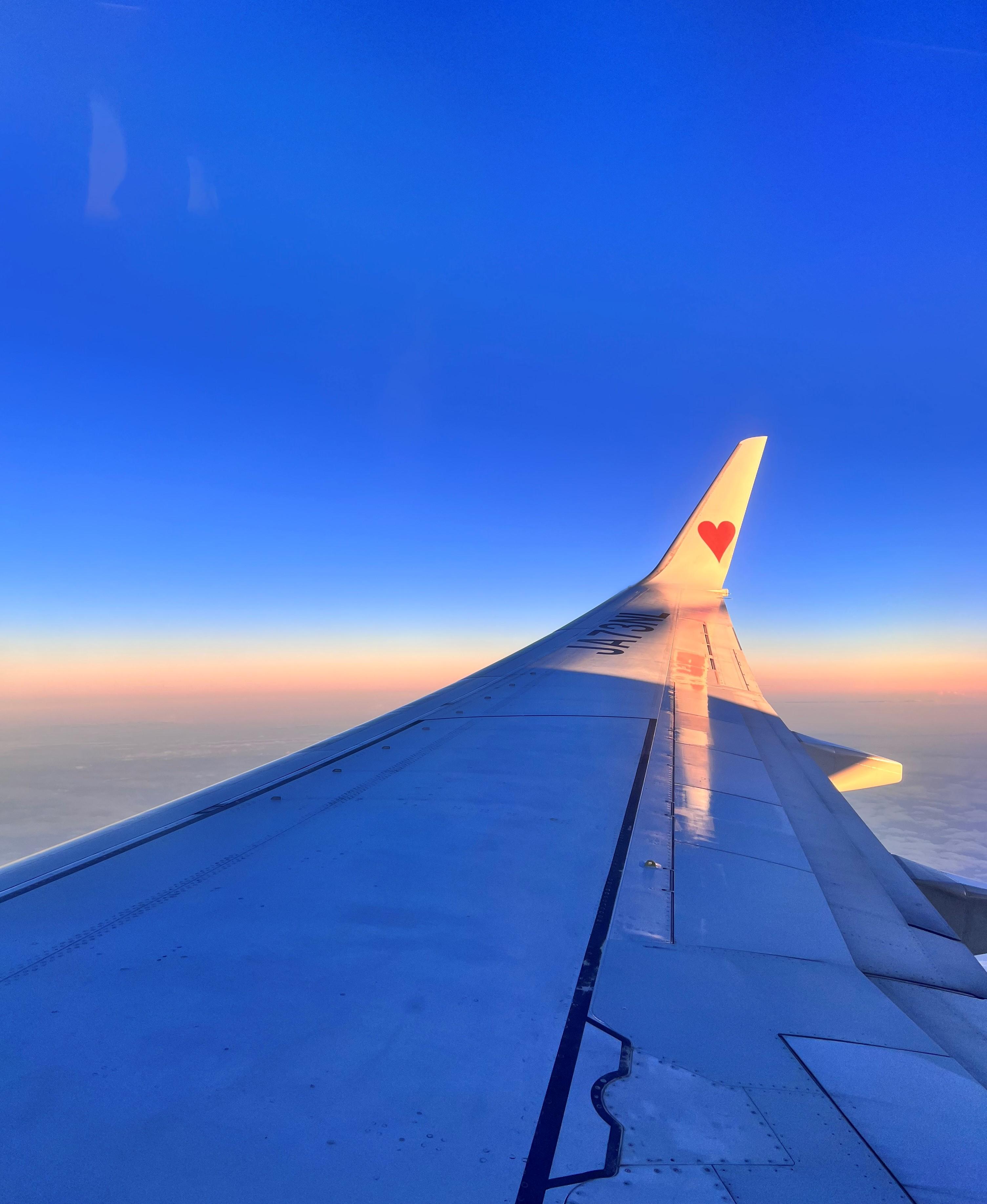 飛行機からの風景