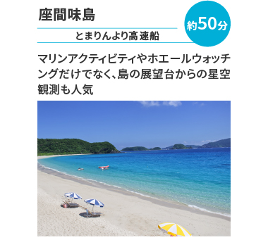 座間味島はマリンアクティビティやホエールウォッチングだけでなく、島の展望台からの星空観測も人気。