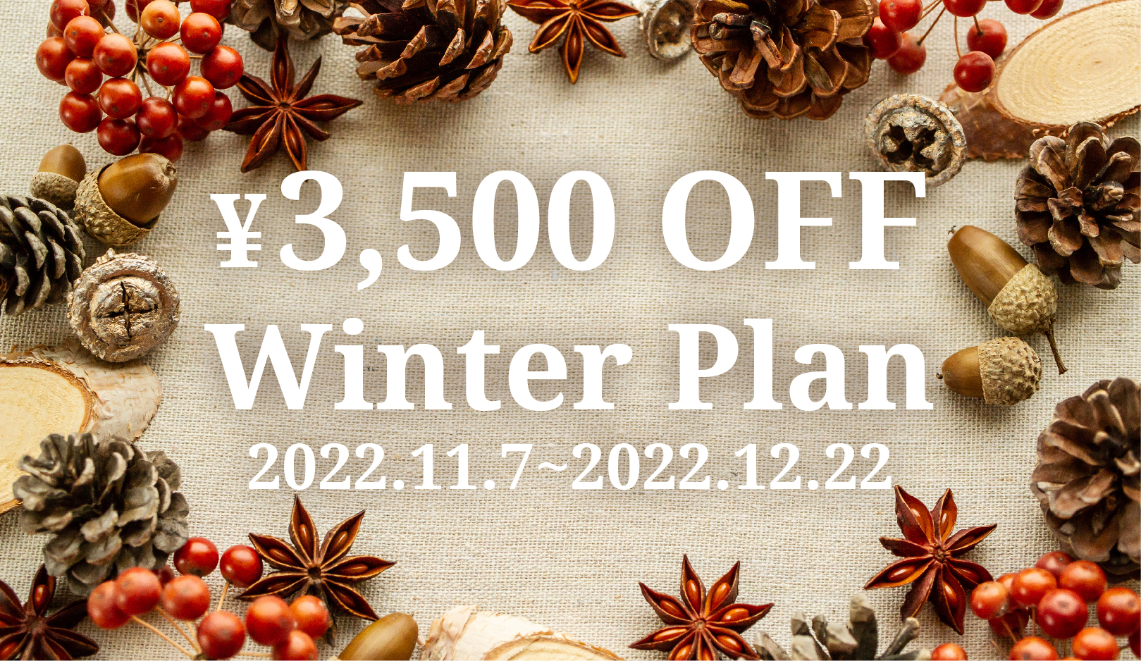 ウィンタープラン】3500円オフ 11/7~12/22チェックイン限定 ...