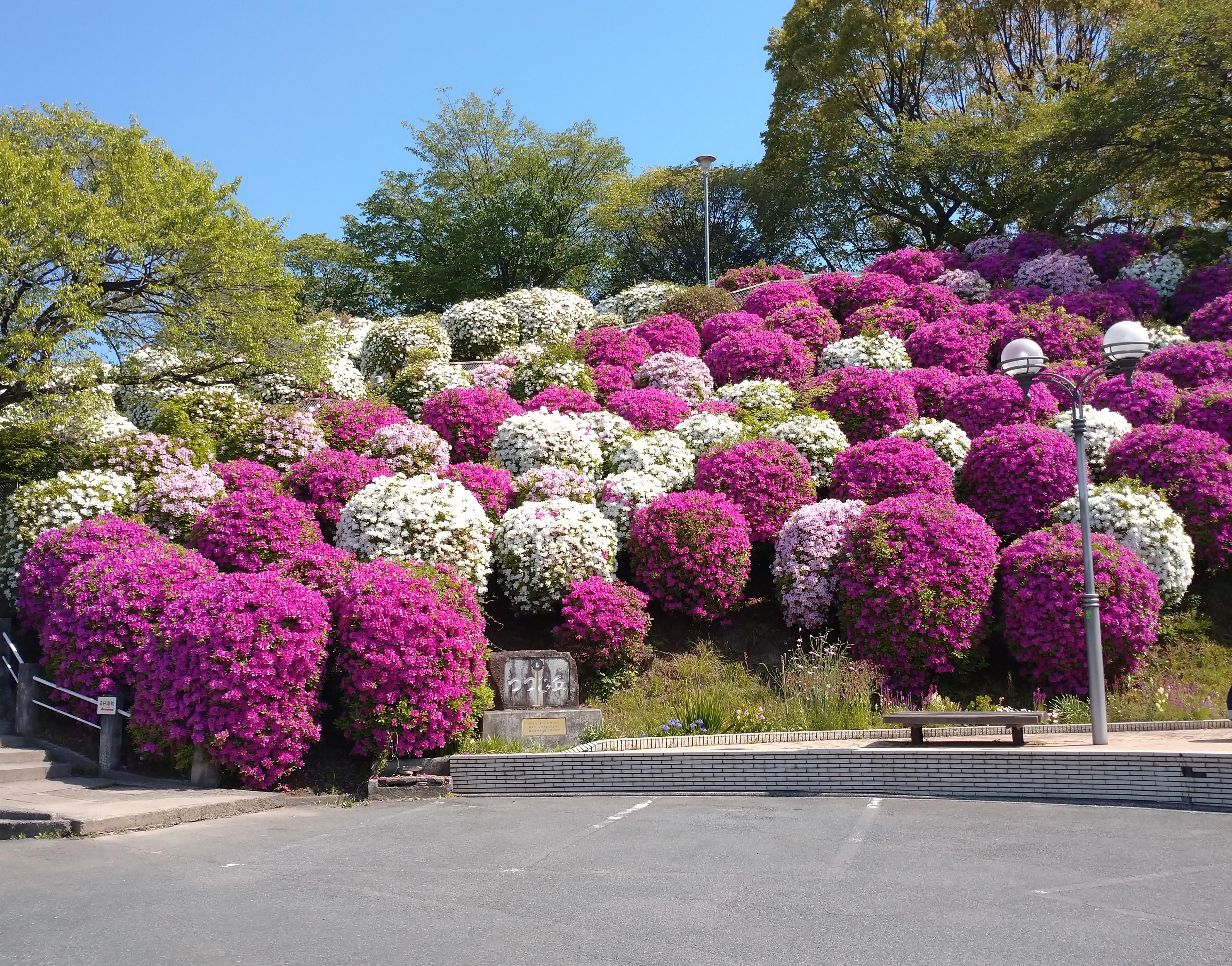 音戸の瀬戸公園