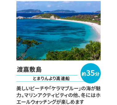 渡嘉敷島は美しいビーチや「ケラマブルー」の海が魅力。マリンアクティビティの他、冬にはホエールウォッチングがたのしめます。