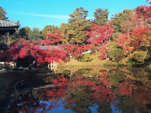 高台寺の紅葉