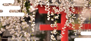 四条烏丸_KV
