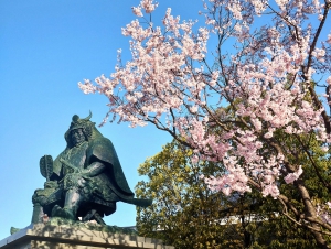 武田信玄公の銅像横の桜