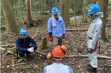 森林の中で作業着とヘルメットを着けた人々が伐採作業や指導を行っている様子。