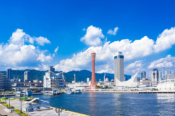 東京タワーと高層ビル群が広がる東京の街並みのパノラマビュー。