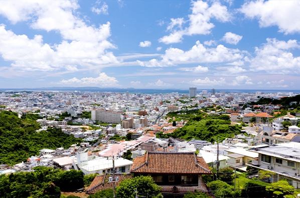 東京タワーと高層ビル群が広がる東京の街並みのパノラマビュー。