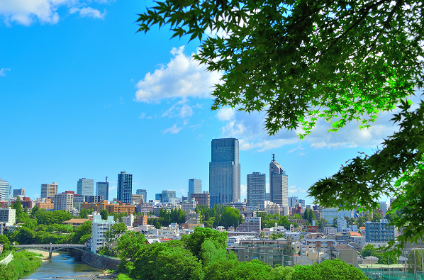 東京タワーと高層ビル群が広がる東京の街並みのパノラマビュー。