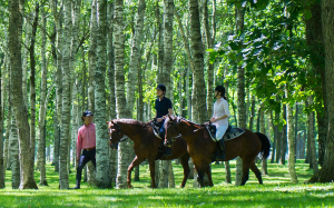 ノーザンホースパーク