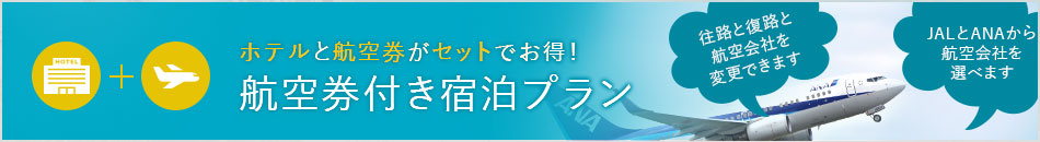 航空券付き宿泊プラン