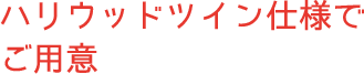 ハリウッドツイン仕様でご用意